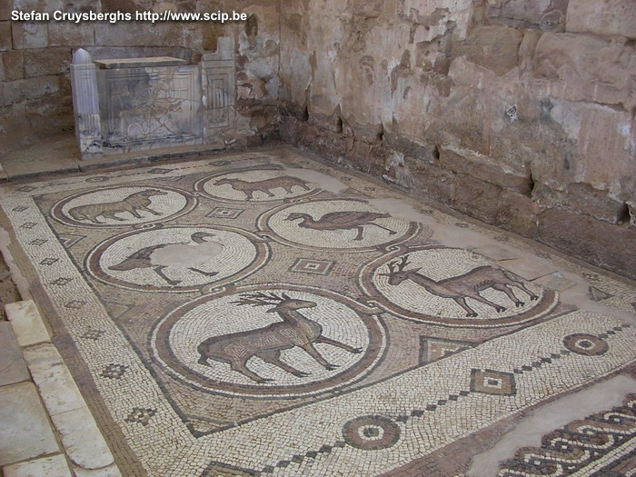 Petra - Mozaïeken Mozaïeken uit de Romeinse periode. Stefan Cruysberghs
